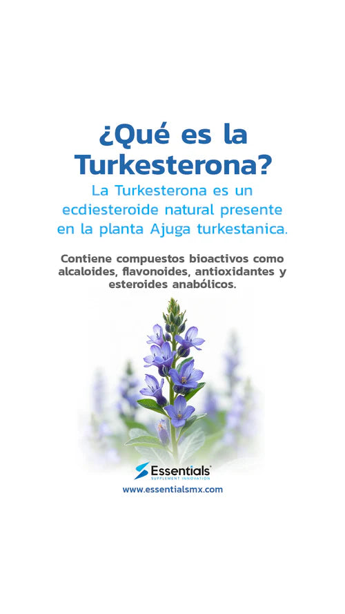 TURKESTERONA ESSENTIALS 60CAPS