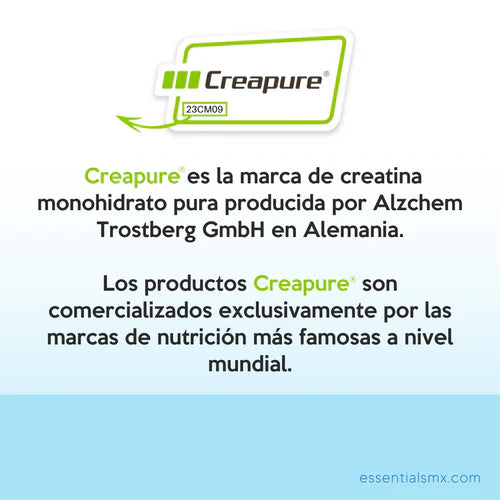 CREATINA ESSENTIALS 300G