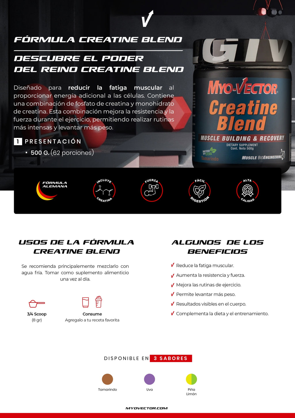 MYO VECTOR CREATINA BLEND