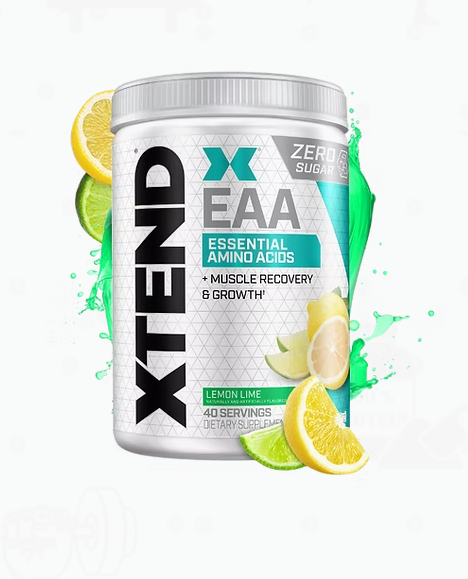 XTEND EAA 40 SERVICIOS