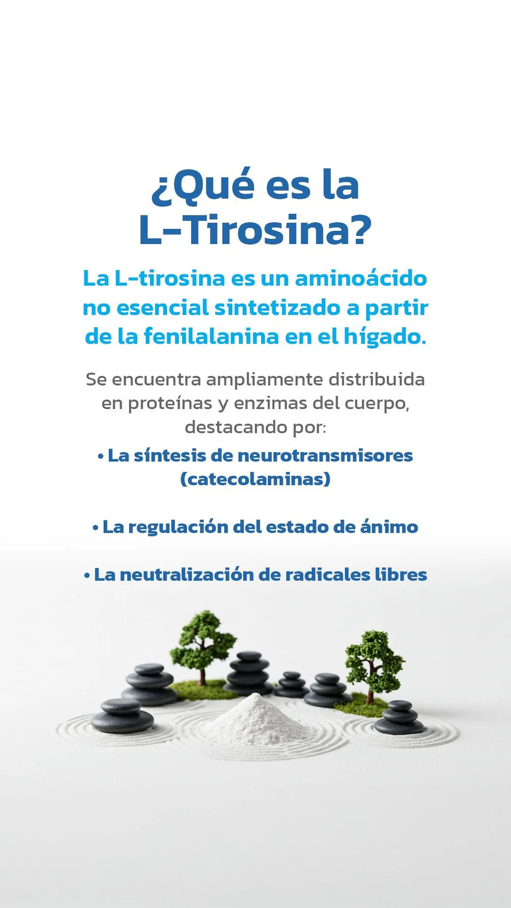 L-TIROSINA