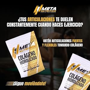 COLAGENO HIDROLIZADO META NUTRITION 500G